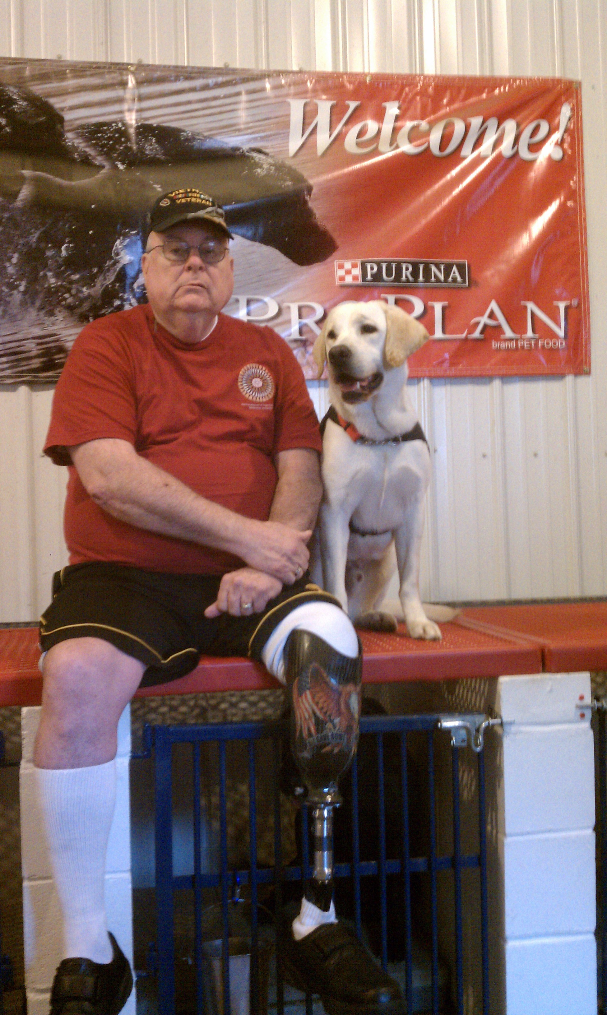 Service dog for veteran - Murphy