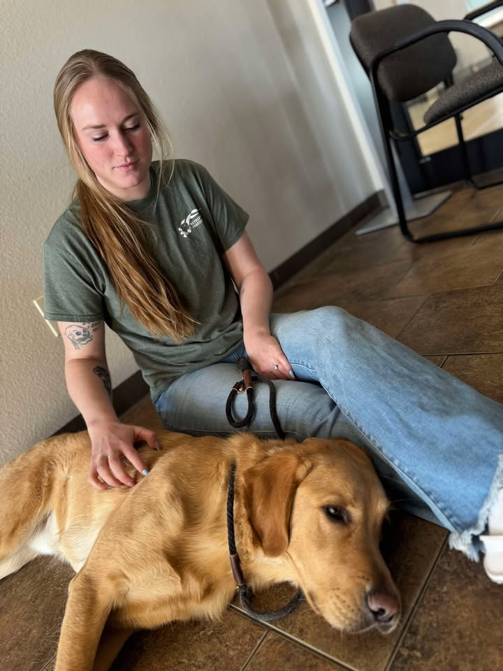 ervice Dog pressing against a client while lying down, offering Deep Pressure Therapy (DPT) for comfort and grounding during moments of anxiety.